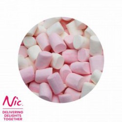 NIC Mini spekkies (1330)