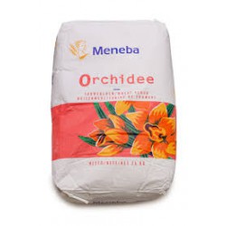 Meneba Orchidee bloem