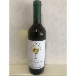 Domus Vin Pinot Bianco Veneto